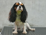 Thumb 975adcda 6d02 424a ae2c d7fb629222d6