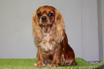 Thumb b060946e 38fa 4be9 87ca c92cee547528