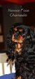 Thumb e7c5444e 495b 4e94 bb95 25f18dbb7cfd