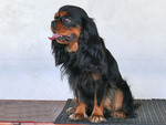 Thumb f48e5800 dcb0 4688 aa03 7ed20dccb08c