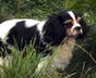 Thumb aa7bbb9b 6247 41b6 941d 3c5ef3a09dc4